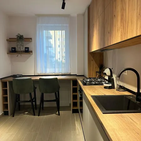 Carpathian Apartment *