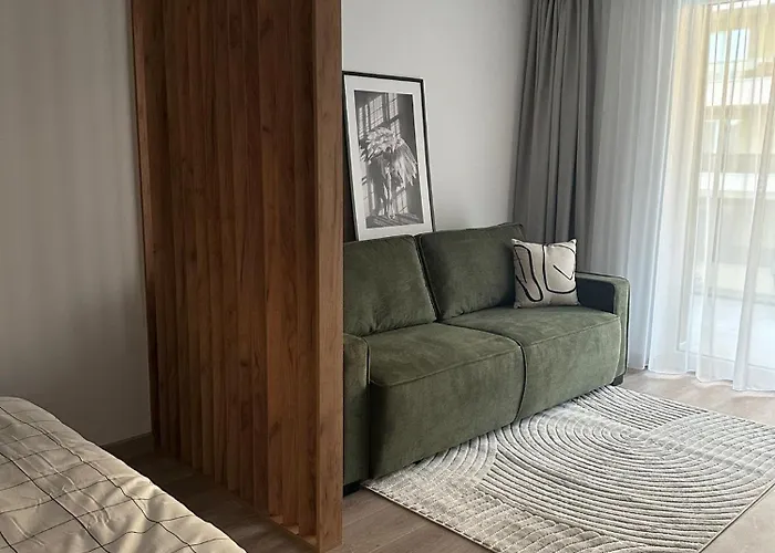 Carpathian Apartment Brasov